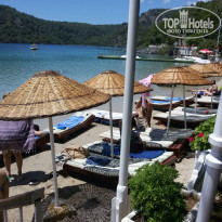 фото из отзыва ID 1492325