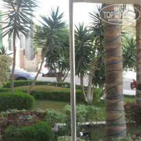 фото из отзыва ID 1492350