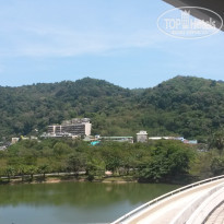 фото из отзыва ID 1492532