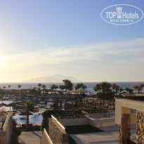 фото из отзыва ID 1492546