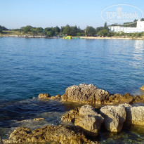 фото из отзыва ID 1492548