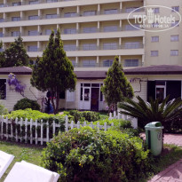 фото из отзыва ID 1492588