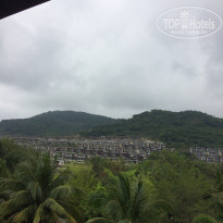 фото из отзыва ID 1492674