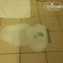 фото из отзыва ID 1492682