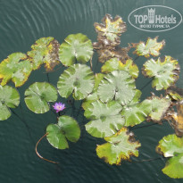 фото из отзыва ID 1492682