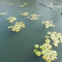 фото из отзыва ID 1492682