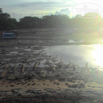 фото из отзыва ID 1492478