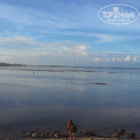 фото из отзыва ID 1492478