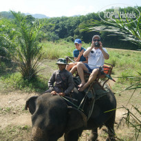 фото из отзыва ID 1492322