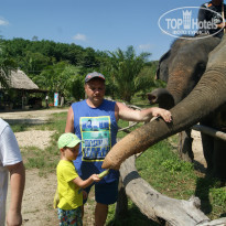 фото из отзыва ID 1492322