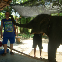 фото из отзыва ID 1492322