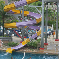 фото из отзыва ID 1492322