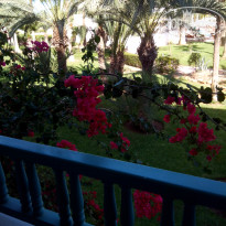 фото из отзыва ID 1492743