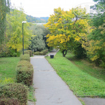 фото из отзыва ID 1492635