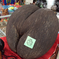 фото из отзыва ID 1492915