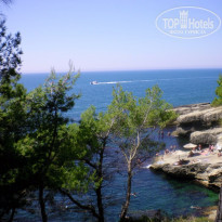 фото из отзыва ID 1492921