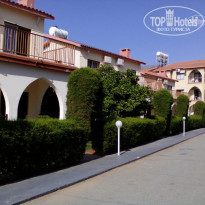 фото из отзыва ID 1493126