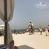 фото из отзыва ID 1493317