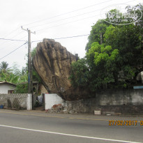 фото из отзыва ID 1493482