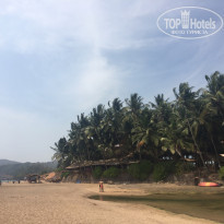 фото из отзыва ID 1493570