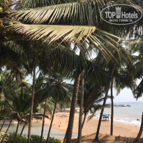 фото из отзыва ID 1493570