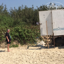 фото из отзыва ID 1493608