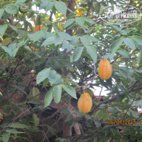 фото из отзыва ID 1493624