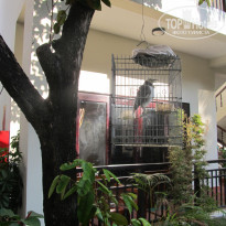 фото из отзыва ID 1493624