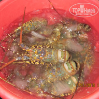 фото из отзыва ID 1493624