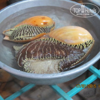 фото из отзыва ID 1493624