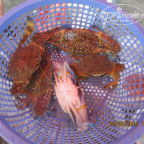 фото из отзыва ID 1493624