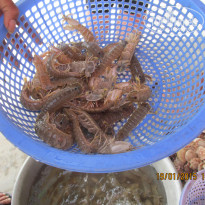 фото из отзыва ID 1493624