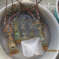 фото из отзыва ID 1493624