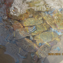 фото из отзыва ID 1493624