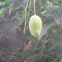 фото из отзыва ID 1493624