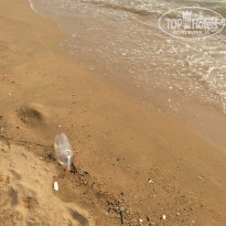 фото из отзыва ID 1493651