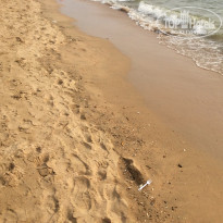 фото из отзыва ID 1493651