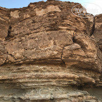 фото из отзыва ID 1493518