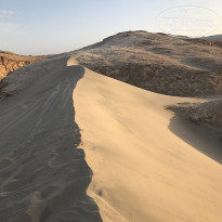 фото из отзыва ID 1493518