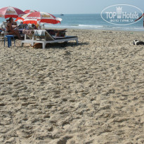 фото из отзыва ID 1493608