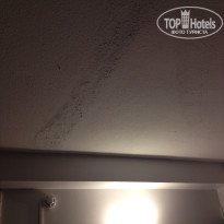 фото из отзыва ID 1493751