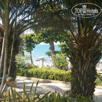 фото из отзыва ID 1493942