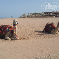 фото из отзыва ID 1493991