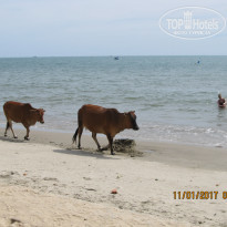 фото из отзыва ID 1493994