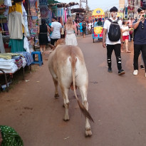 фото из отзыва ID 1493999