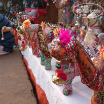 фото из отзыва ID 1493999