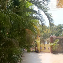 фото из отзыва ID 1493999