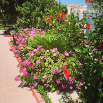 фото из отзыва ID 1494021