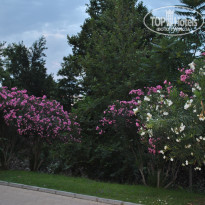 фото из отзыва ID 1494071