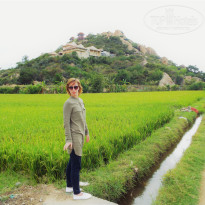 фото из отзыва ID 1494073